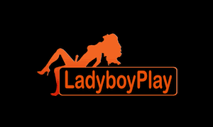 LADYBOYPLAY.COM PREMIUM | 60 DAYS WARRANTY
